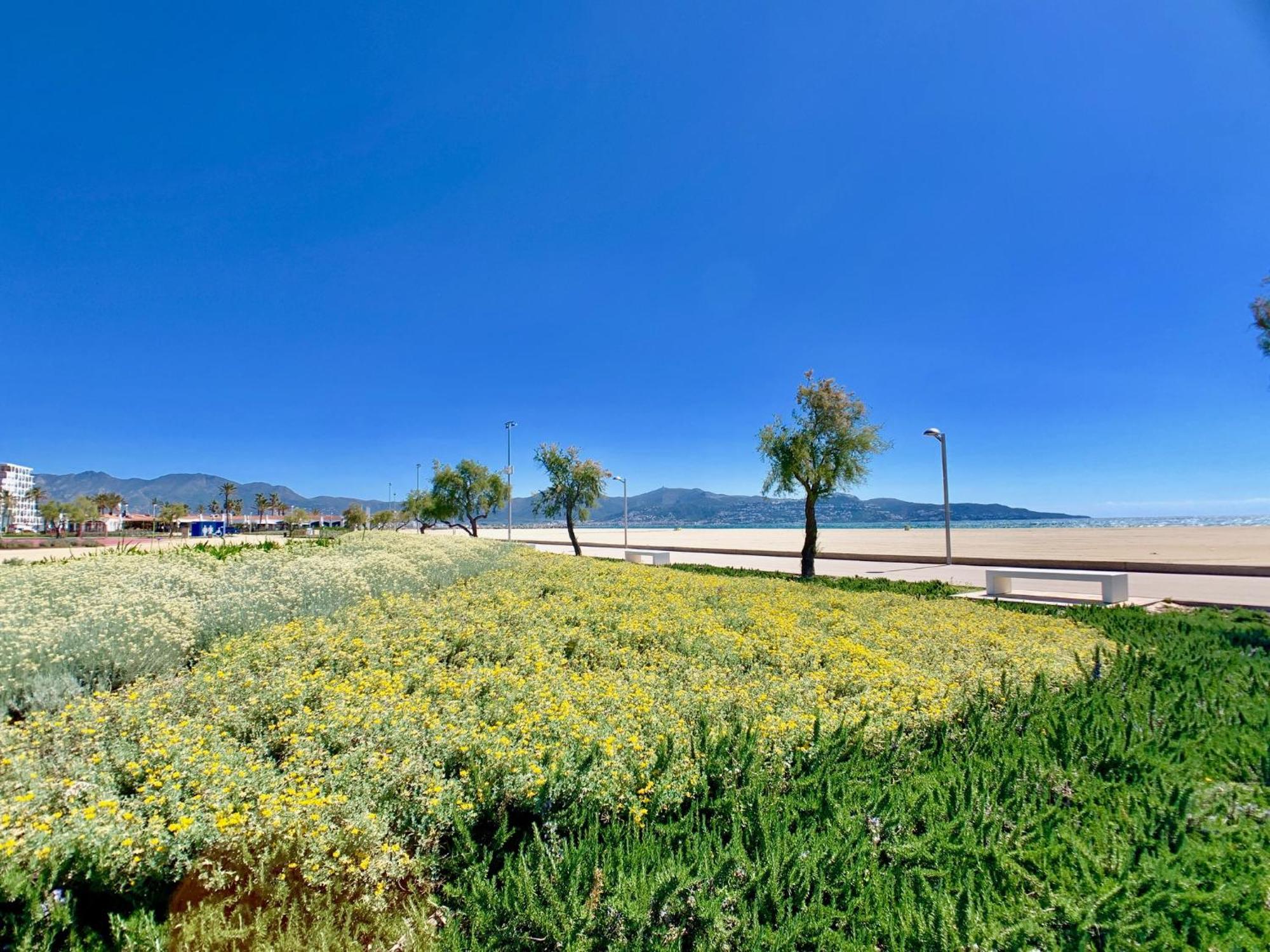 Apartment Vista Bahia 23 -4 Sea View Empuriabrava Exterior photo